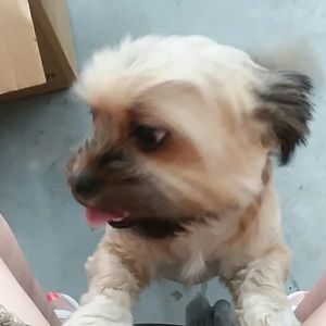 All on clearance .... cleaning out closet